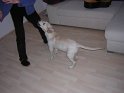 Iarna 2009 025